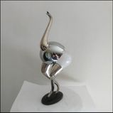 Glass-bottom bird
